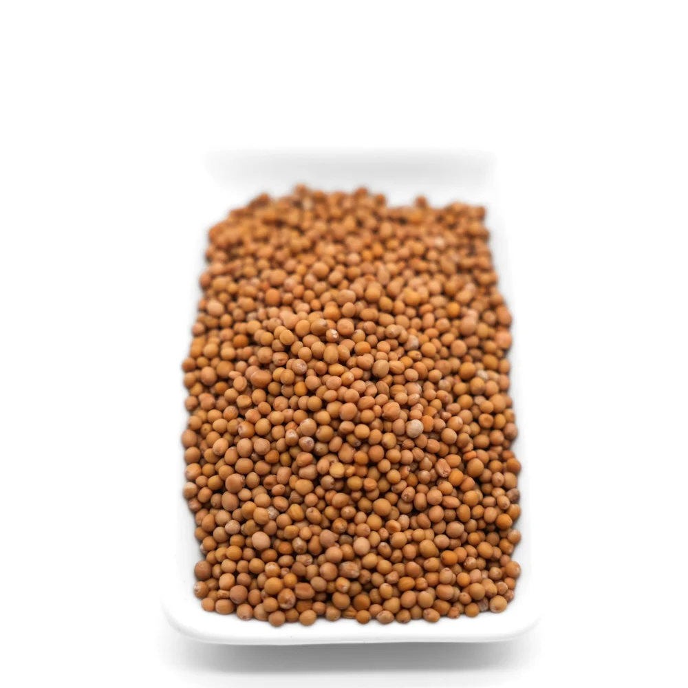 Graines de moutarde jaune - Epices entières