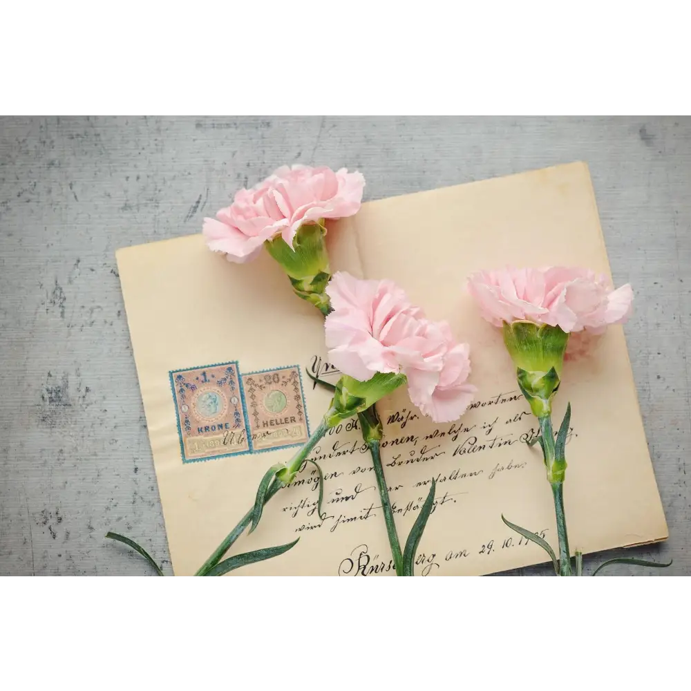 Spiceletter: Chaque mois une épice une recette une découverte - Coffret Cadeau