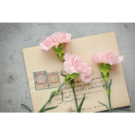 Spiceletter: Chaque mois une épice une recette une découverte - Coffret Cadeau