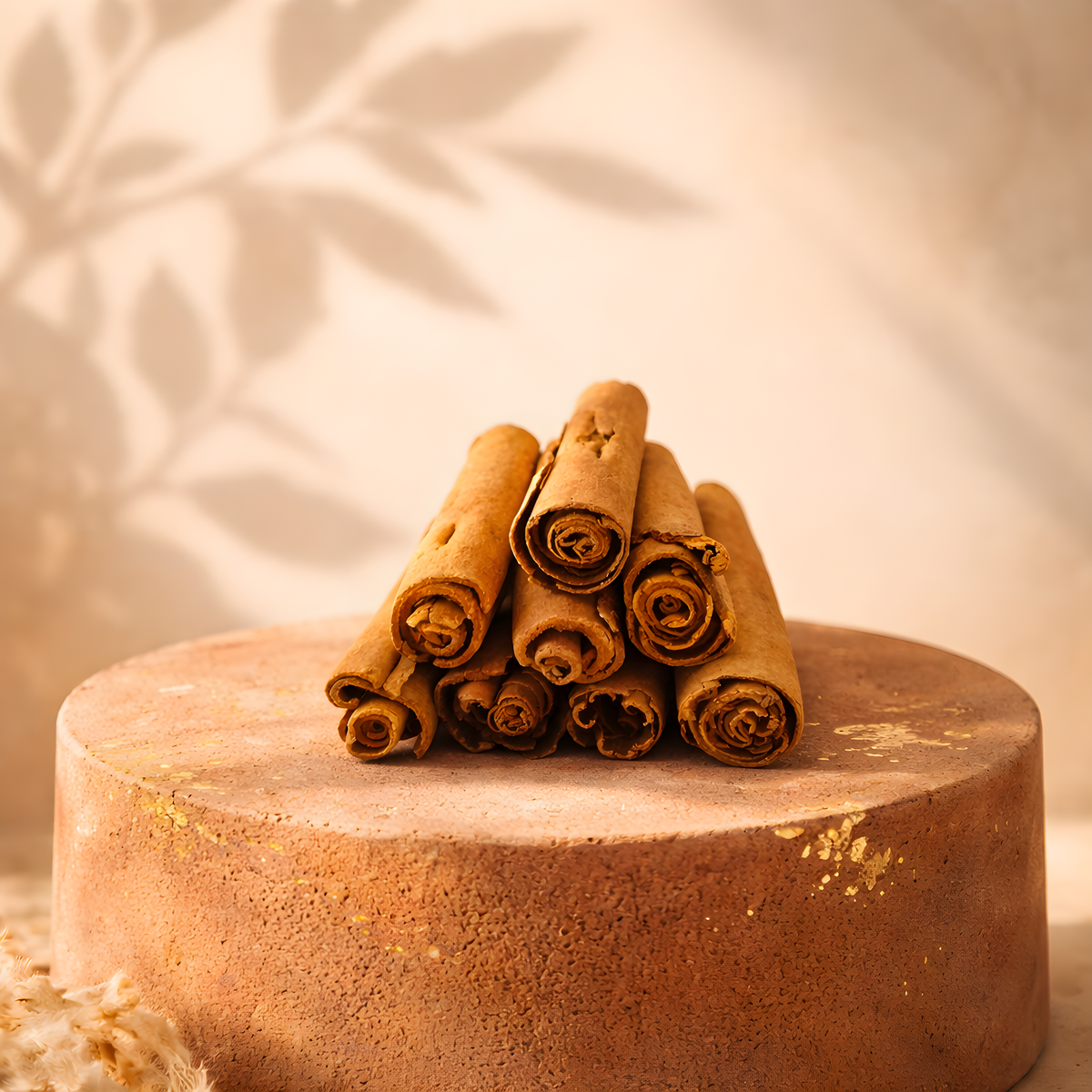 Cannelle – Bâtons Ceylan