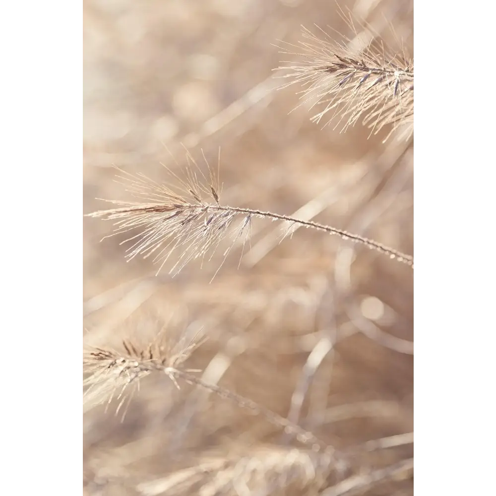 EBOOK “Vata Équilibré: Recettes Routines et Rituels pour Ancrer Votre Énergie” - Soin du corps