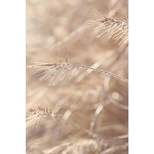 EBOOK “Vata Équilibré: Recettes Routines et Rituels pour Ancrer Votre Énergie” - Soin du corps